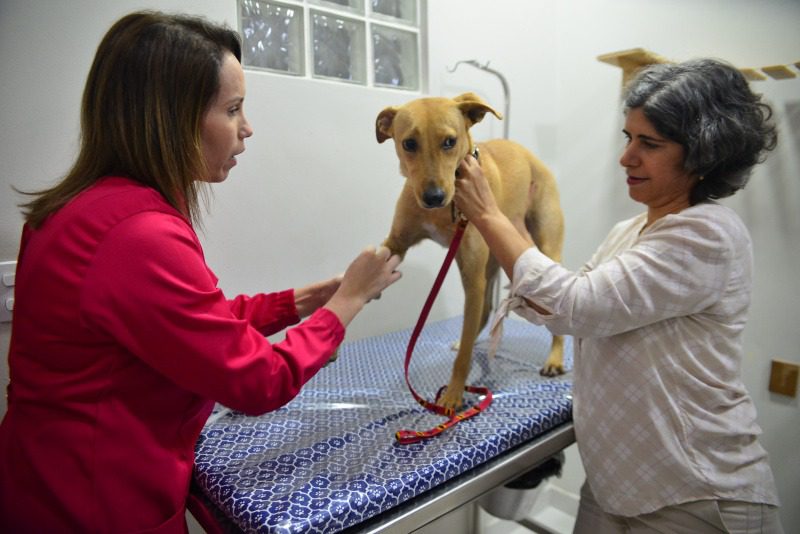 Vitória da Castração Animal: mais de 1500 tutores participam das palestras do programa