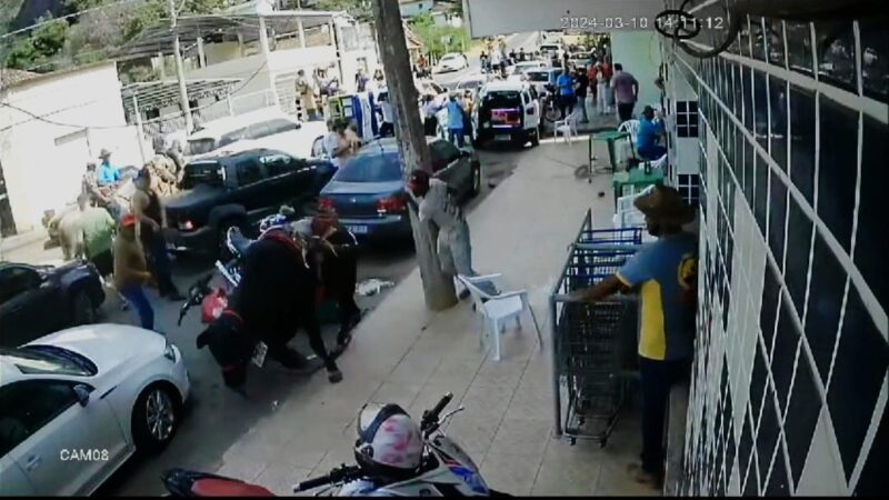 Boi descontrolado assusta moradores durante cavalgada em Guararema, Nova Venécia