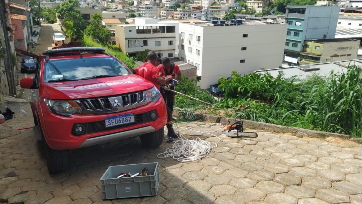 Defesa Civil, Sanear e Bombeiros em Ação na Rua José Antônio Ramos, São Silvano, Após Fortes Chuvas em Colatina