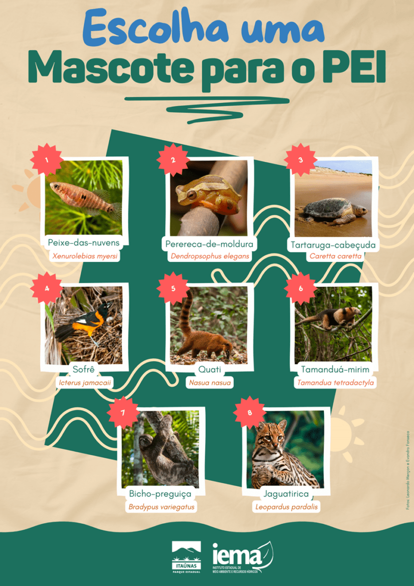 Escolha do mascote da nova exposição da sede é o foco da campanha no Parque Estadual de Itaúnas