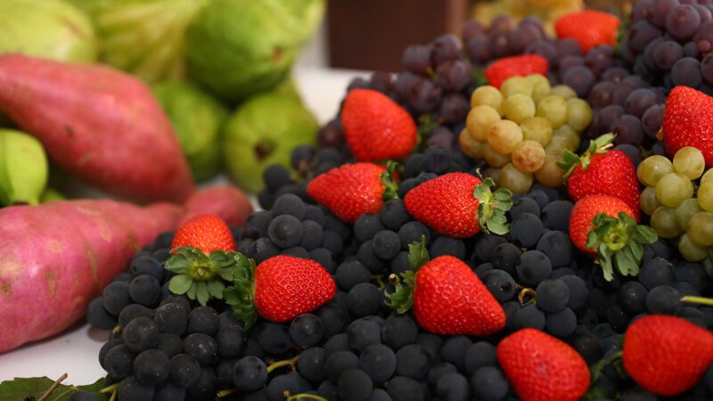 Arranjos Produtivos se renova e amplia suporte aos agricultores familiares