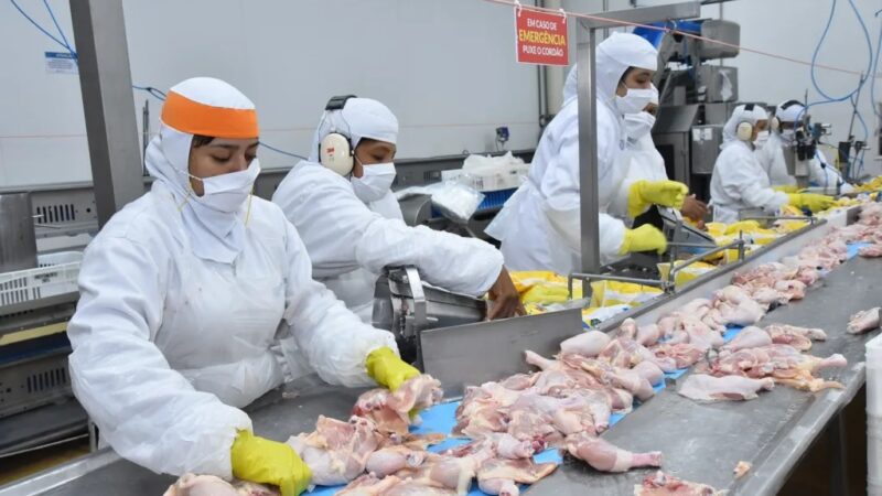 Gripe aviária não deve afetar produção de frango e ovos do Espírito Santo, diz secretário