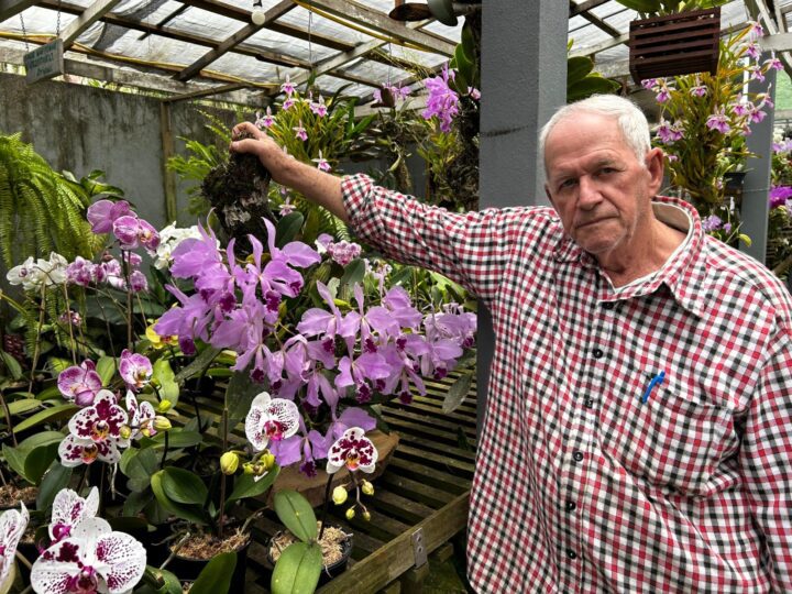 Tradição da Família Schunk floresce junto aos 34 anos de Marechal Floriano