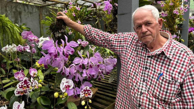 Tradição da Família Schunk floresce junto aos 34 anos de Marechal Floriano