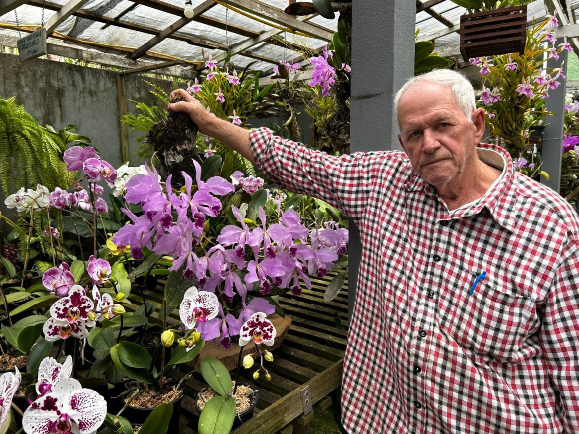 Tradição da Família Schunk floresce junto aos 34 anos de Marechal Floriano