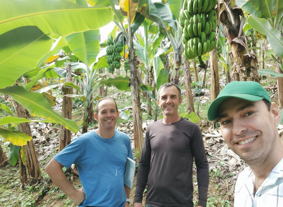 Experiência do Incaper em Iconha vira referência para o Ministério da Agricultura