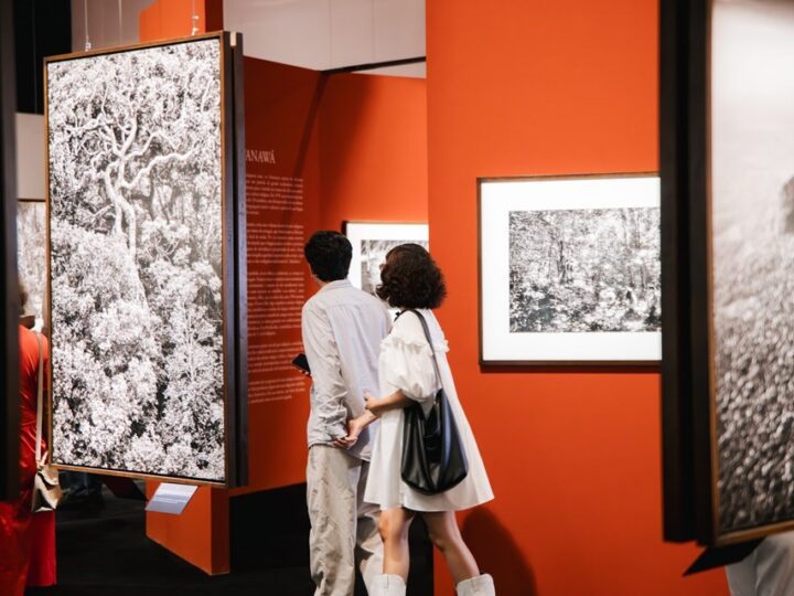 Exposição Amazônia no Cais das Artes passa a oferecer visitas guiadas para grupos