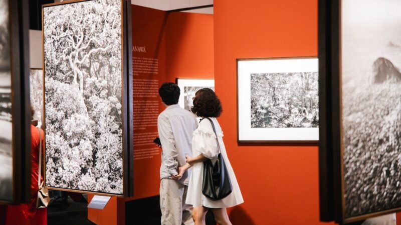 Exposição Amazônia no Cais das Artes passa a oferecer visitas guiadas para grupos