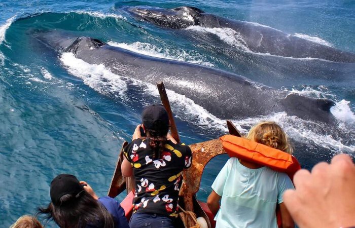 Vitória promove curso gratuito para impulsionar o turismo de natureza