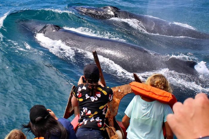 Vitória promove curso gratuito para impulsionar o turismo de natureza