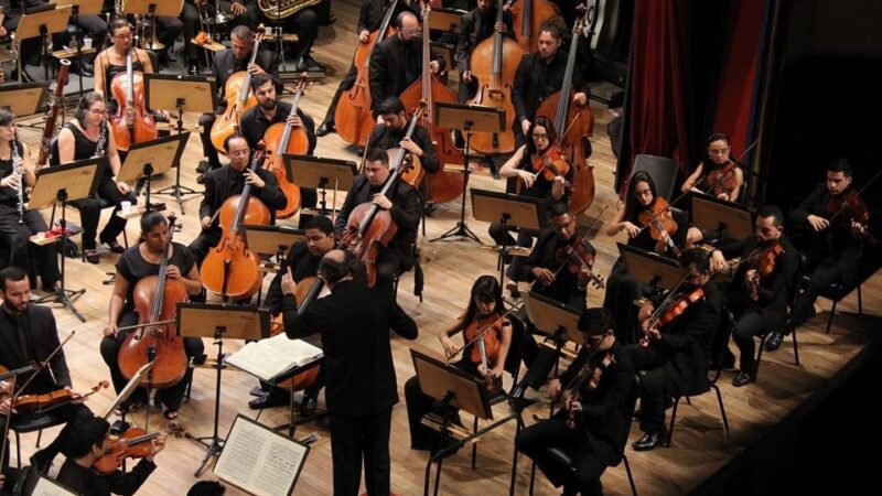 Biodiversidade brasileira ganha trilha sonora emocionante interpretada pela Sinfônica do Espírito Santo