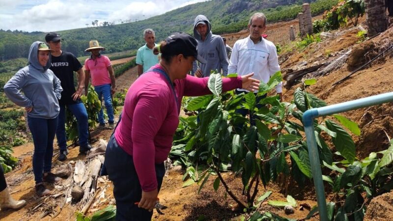 Poda e condução de lavouras de cacau são temas de dia de campo em Rio Bananal