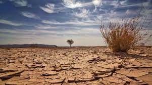 Governo retoma Comissão Nacional de Combate à Desertificação