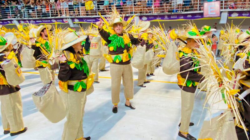 Carnaval de Conexões: O Presidente da OAB, Rizk, Desfila seu Espírito Festivo com a Novo Império