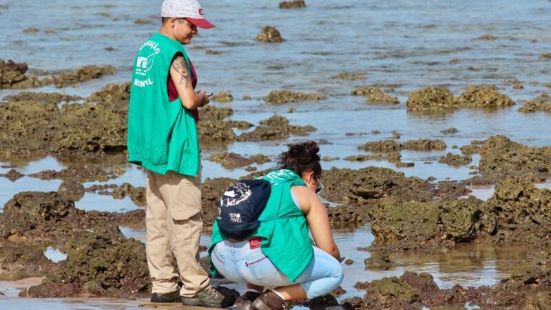 Programa de Voluntariado no Parque Estadual de Itaúnas: Inscrições Abertas pelo Iema