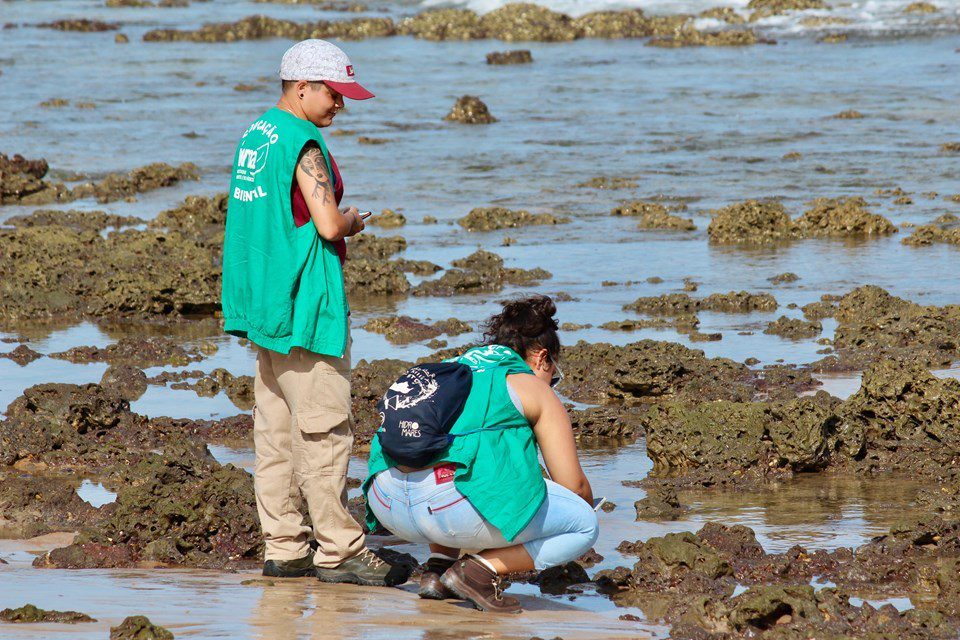 Programa de Voluntariado no Parque Estadual de Itaúnas: Inscrições Abertas pelo Iema