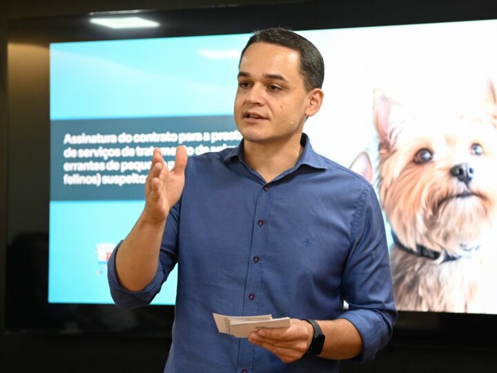 Pazolini assegura captura e tratamento de animais de rua com esporotricose