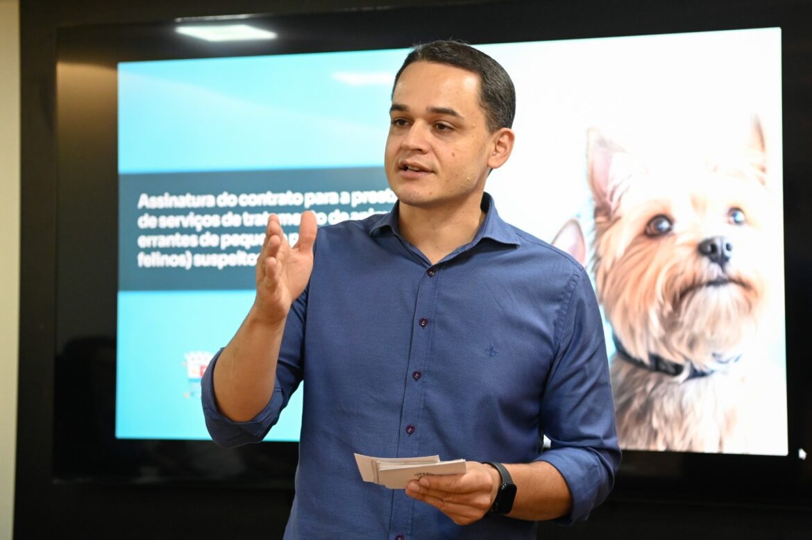 Pazolini assegura captura e tratamento de animais de rua com esporotricose