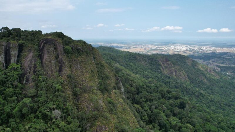 Aracruz se destaca como uma das 10 cidades que mais reflorestaram no Brasil