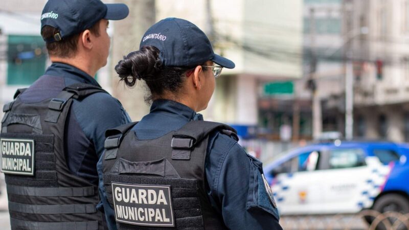 Guarda de Vitória intercepta “chupa-cabra” em banco da Praia do Canto