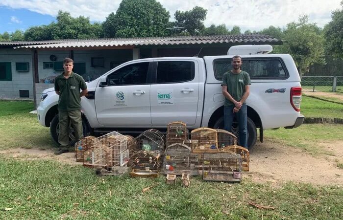 Ação do Iema em Aracruz resulta na apreensão de 49 aves em cativeiro irregular