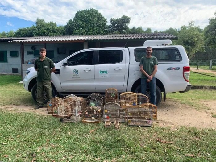 Ação do Iema em Aracruz resulta na apreensão de 49 aves em cativeiro irregular