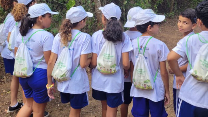 Vivência sobre abelhas sem ferrão é organizada por Guardiões Ambientais