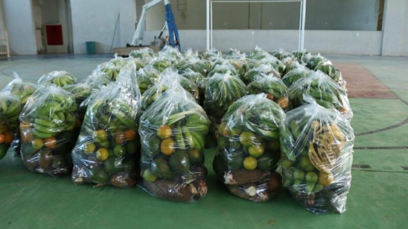 Prefeitura de Viana fortalece agricultura familiar e leva alimento a quem mais precisa