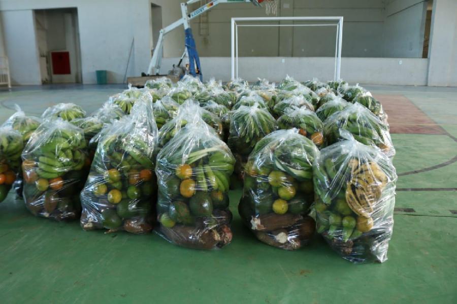 Prefeitura de Viana fortalece agricultura familiar e leva alimento a quem mais precisa